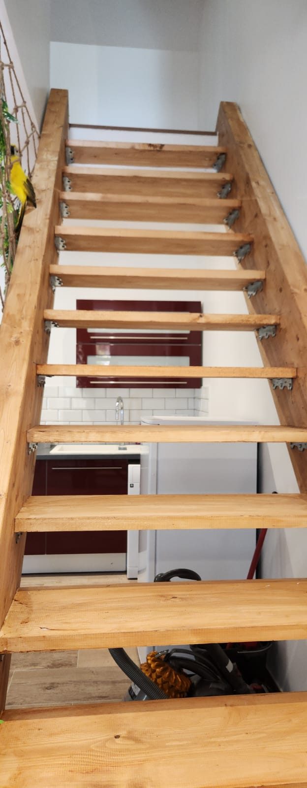 Gîte Jungle — escalier