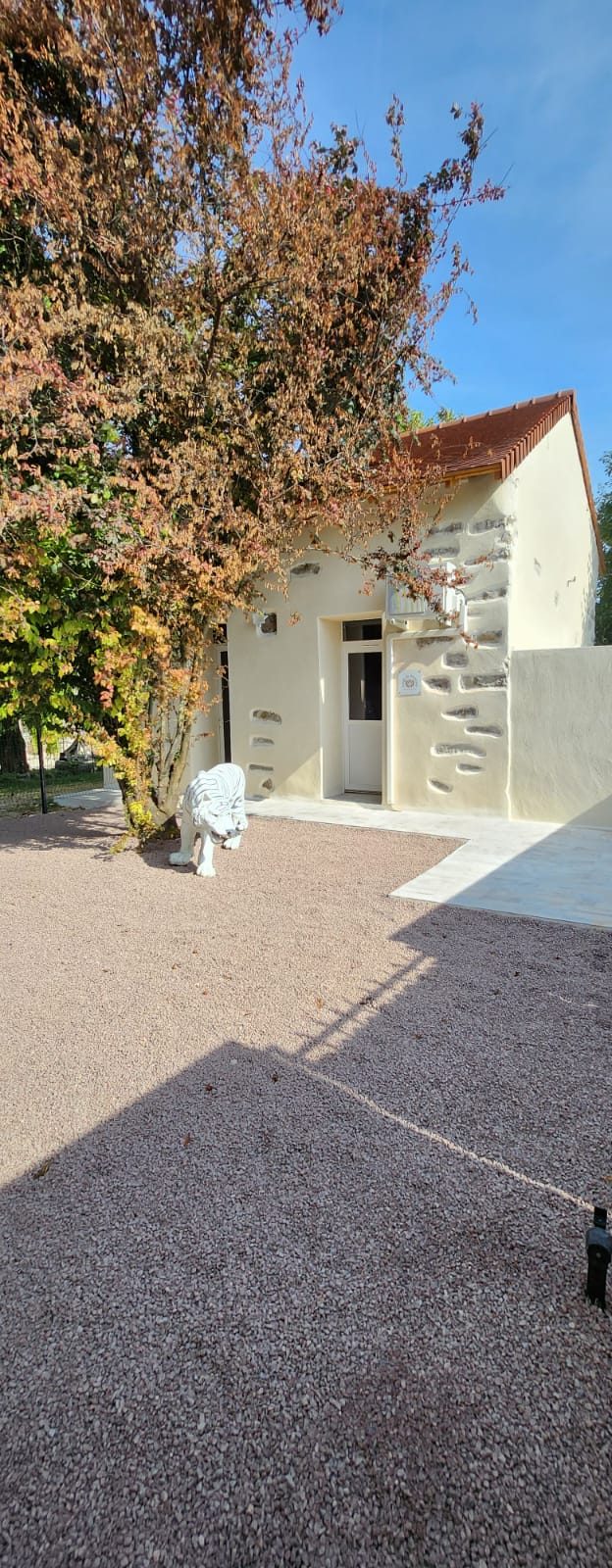 Gîte Jungle — extérieur
